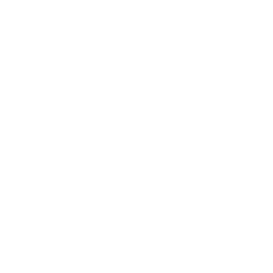 Model Composite Suspention Insulator